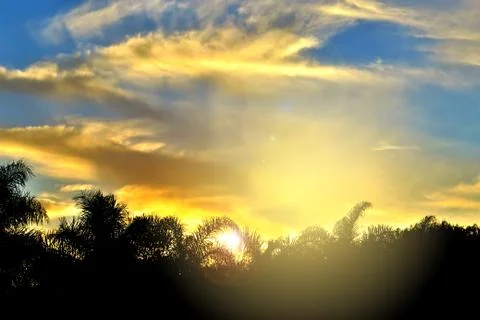 Sunset with Clouds over palm trees. Stock Photos
