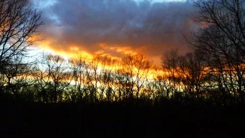 Sunset Clouds over tree line  Stock Photos
