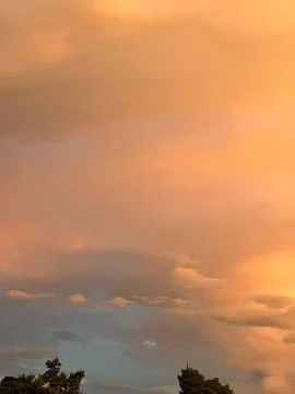 Sunset clouds over tree silhouette Stock Photos