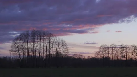 Sunset clouds over the trees. Video stock 154770686