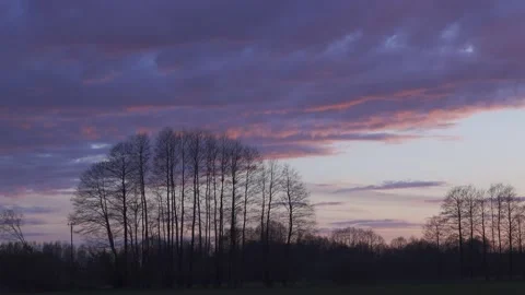 Sunset clouds over the trees. Stock Footage 154770691