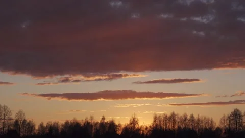 Sunset clouds over the trees. Stock Footage 154770693
