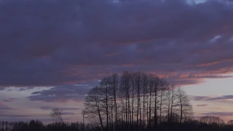 Sunset clouds over the trees. Stock Footage 154770715