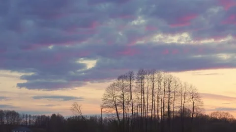 Sunset clouds over the trees. Stock Footage 154771779