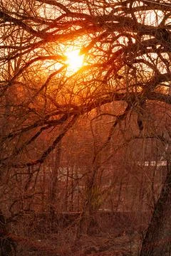 Sunset in clouds Foto stock