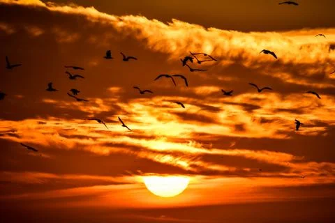 Sunset with clouds, photo as background Stock Photos