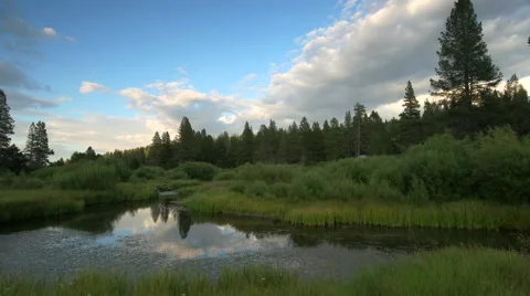 Sunset Clouds Reflecting in Creek Pond in Sierra Meadow Video stock 55808524