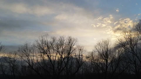 Sunset clouds, sky  and trees - Drone camera moves down and up Video stock 138267959