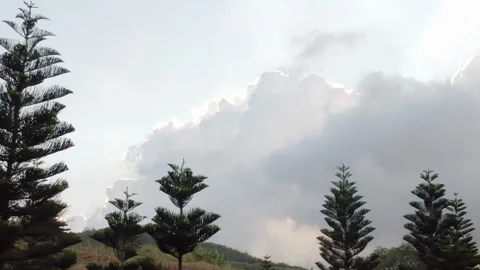 Sunset clouds on sky with big dark trees in foreground - Parallax moving Stock Footage 246514749