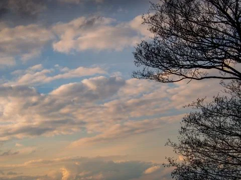 Sunset in the clouds with tree Stock Photos