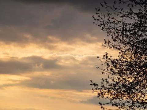 Sunset in the clouds with tree Stock Photos