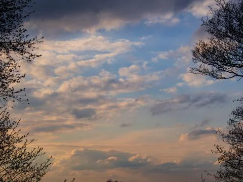 Sunset in the clouds with tree Stock Photos