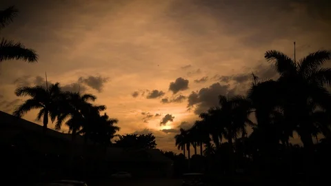 Sunset Cloudscape between Palms on Captiva Island Florida Stock Footage 93959855