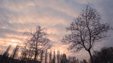 Sunset in a cloudy sky over the evening city through the branches of autumn bare Stock Footage 102476600