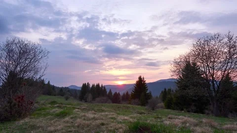 Sunset on a cloudy spring day, natural scenery in the forest on the meadow. Видео 190857989