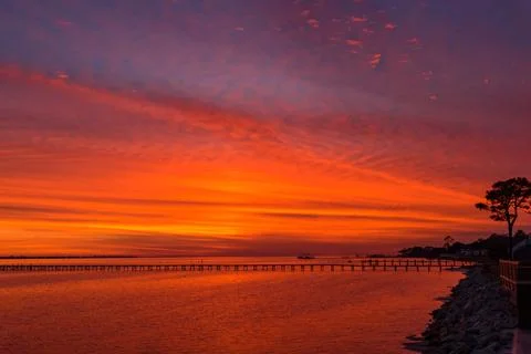 Sunset on the coast of Florida, a large tree grows on the shore, USA Stock Photos
