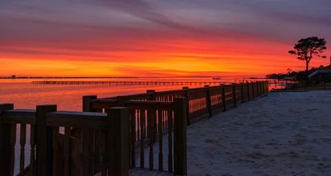 Sunset on the coast of Florida, a large tree grows on the shore, USA Stock Photos