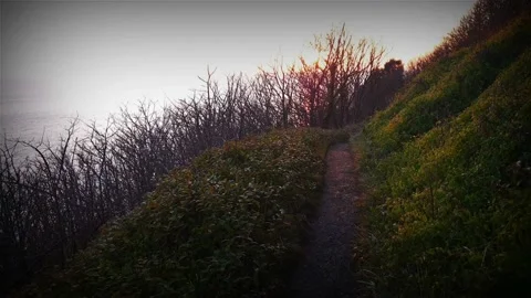 Sunset At The Coast path Video stock 154522613