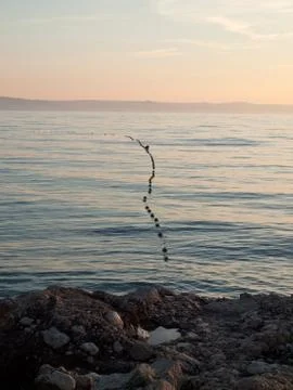 Sunset on coast 库存照片