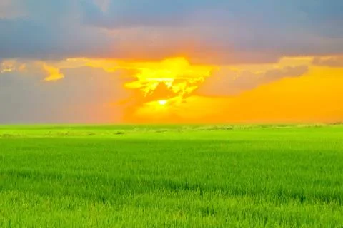 Sunset on the coast Stock Photos