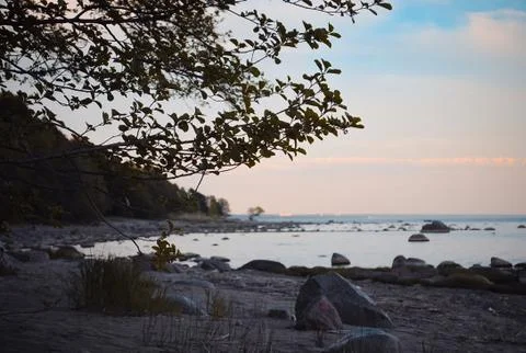 Sunset on the coast Stock Photos