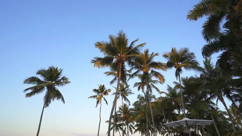 Sunset on the coast by the pool Stock Footage 137965688