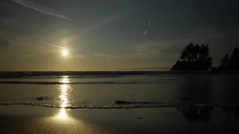 Sunset at Coastal Shoreline with Pine Trees from left to right. Stock Footage 314805825
