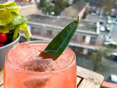 Sunset Cocktail with leaf Stock Photos
