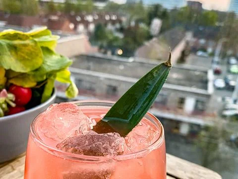 Sunset Cocktail with leaf Stock Photos