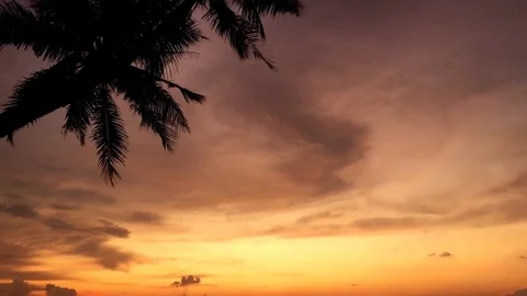 Sunset with coconut palm trees Stock Footage 76157144