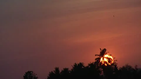 Sunset with coconut palm trees in the foreground Stock Footage 22328611