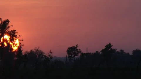 Sunset with coconut palm trees in the foreground Stock Footage 22329077