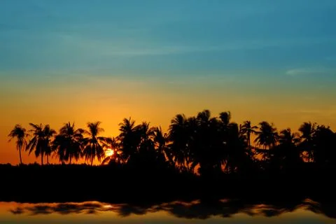 Sunset Coconut Tree Silhouettes Stock Photos