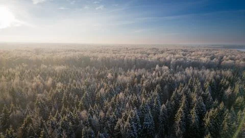 Sunset on a cold winter evening over the forest Stock Photos
