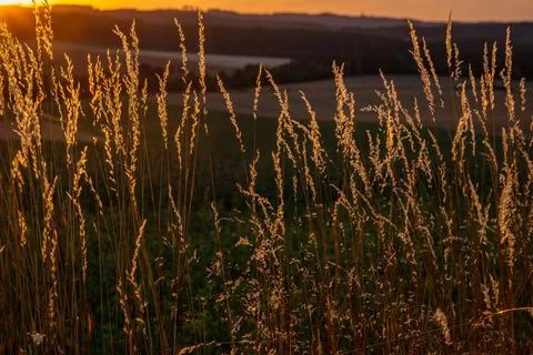 Sunset color sky view for fields dry grass summer evening near Slavonice town Foto stock