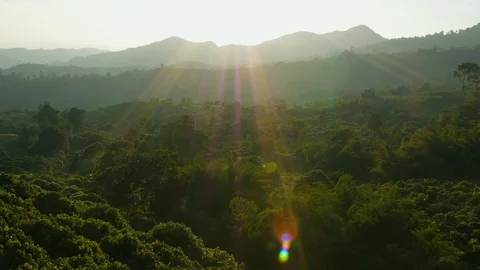 Sunset with Colorful dramatic sky in the countryside. Stock-Footage 100020356