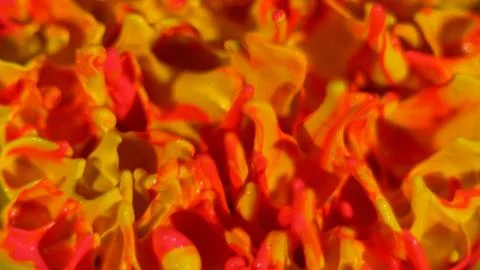 Sunset colors paint splatter background, macro texture Stock Photos