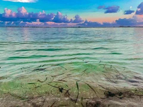 Sunset colors reflecting in the ocean Stock Photos
