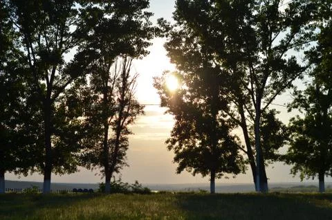 Sunset coming through trees in the park, Romania Stock Photos