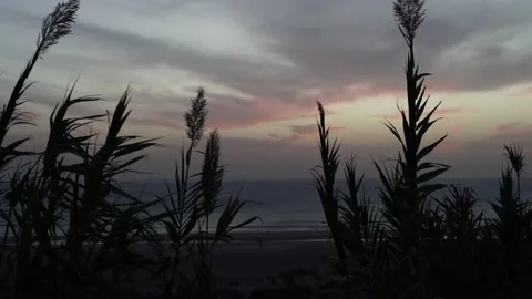 Sunset in Conil de la Frontera Cadiz. Playa la Fontanilla. Holidays in Conil Stock Footage 218307068