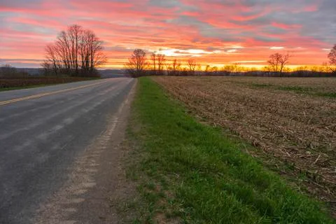 Sunset on a Corn Field and a Back road Stock Photos