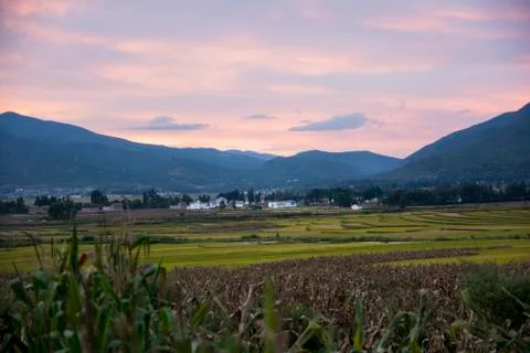 Sunset in the corn fields of Shaxi Foto stock
