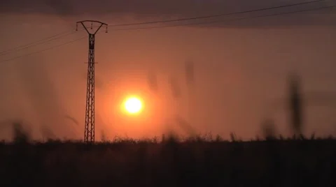 Sunset cornfield agriculture slow motion Stock Footage 64538470