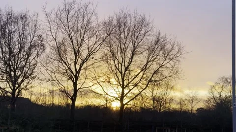 Sunset at country park Stock Footage 281250272