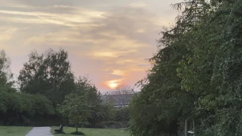 Sunset at country park Stock Footage 281250538