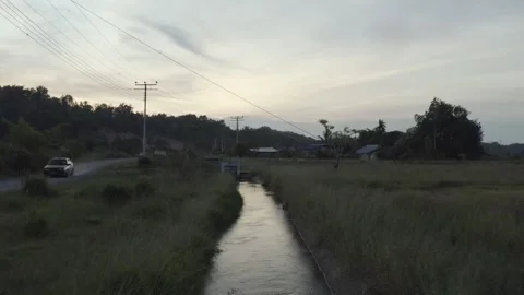 Sunset country roads with paddy fields forward drone shots Stock Footage 247403023