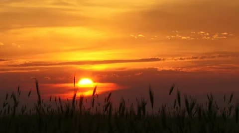 Sunset in countryside Stock Footage 21225264