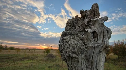 Sunset at countryside Stock Footage 43362035