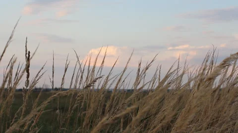 Sunset in the countryside. Stock Footage 67629144