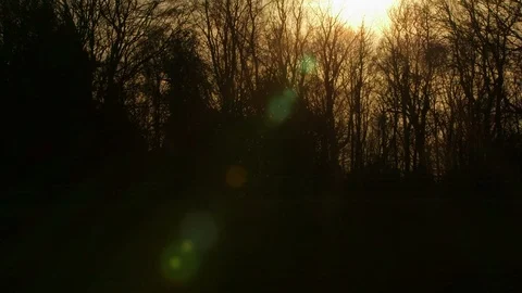 Sunset in countryside Stock Footage 127514076